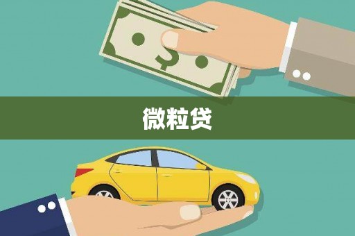 西陵微粒贷