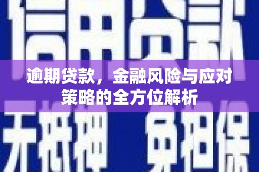 西陵逾期贷款，金融风险与应对策略的全方位解析