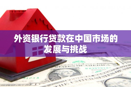 西陵外资银行贷款在中国市场的发展与挑战