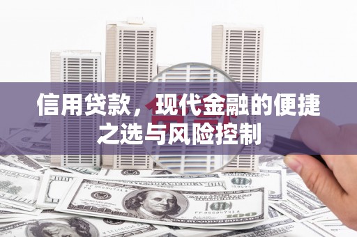 西陵信用贷款，现代金融的便捷之选与风险控制