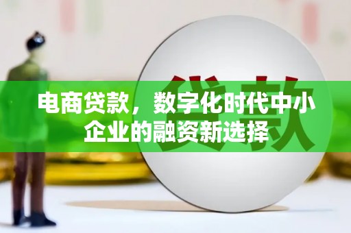 西陵电商贷款，数字化时代中小企业的融资新选择