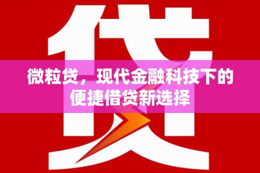 西陵微粒贷，现代金融科技下的便捷借贷新选择