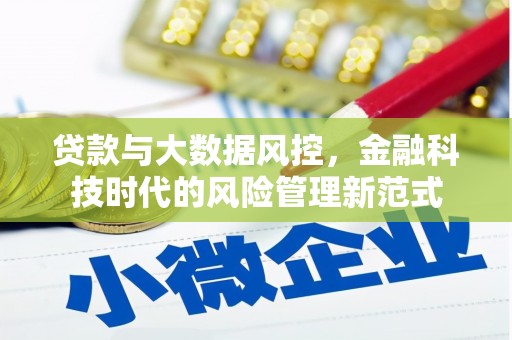 西陵贷款与大数据风控，金融科技时代的风险管理新范式