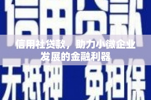 西陵信用社贷款，助力小微企业发展的金融利器