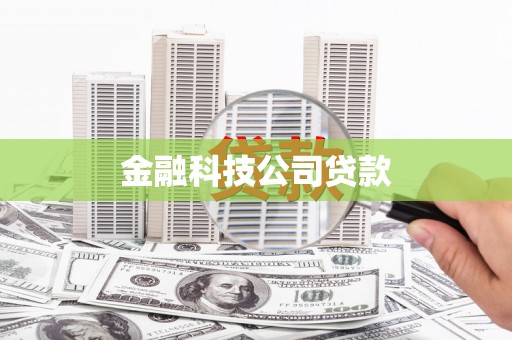 西陵金融科技公司贷款