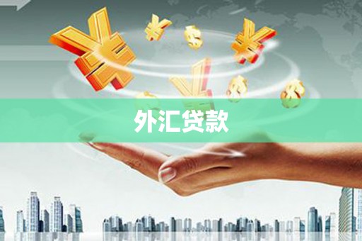 西陵外汇贷款