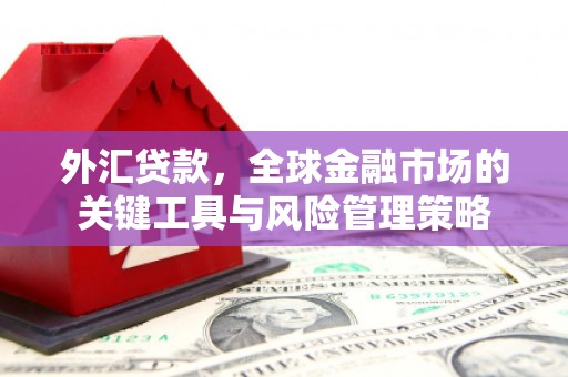 西陵外汇贷款，全球金融市场的关键工具与风险管理策略