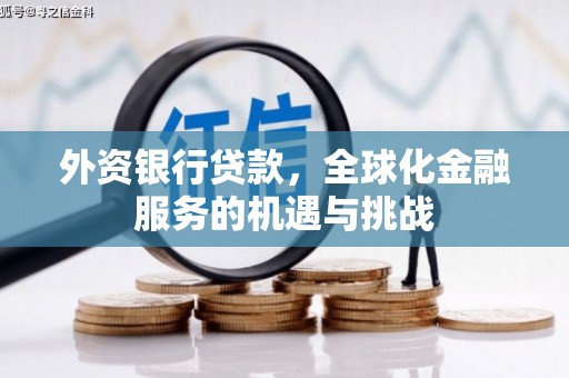 西陵外资银行贷款，全球化金融服务的机遇与挑战
