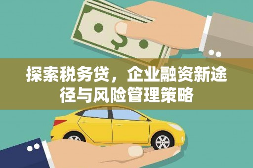 西陵探索税务贷，企业融资新途径与风险管理策略
