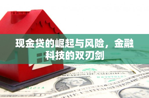 西陵现金贷的崛起与风险，金融科技的双刃剑