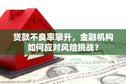 西陵贷款不良率攀升，金融机构如何应对风险挑战？
