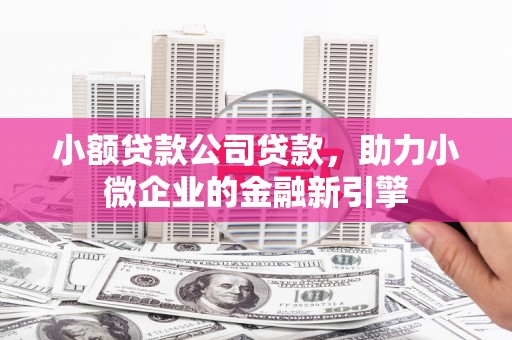 西陵小额贷款公司贷款，助力小微企业的金融新引擎
