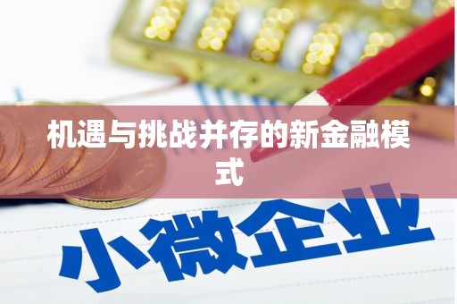 西陵机遇与挑战并存的新金融模式