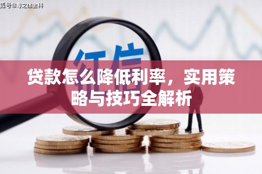 西陵贷款怎么降低利率，实用策略与技巧全解析