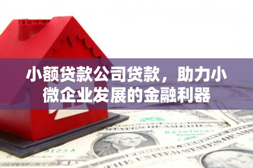 西陵小额贷款公司贷款，助力小微企业发展的金融利器