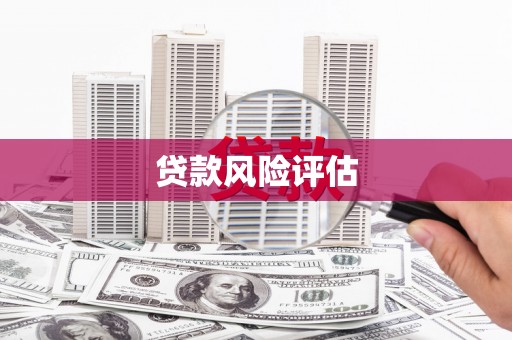 西陵贷款风险评估