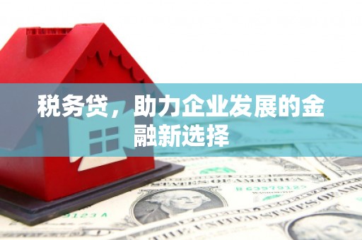 西陵税务贷，助力企业发展的金融新选择