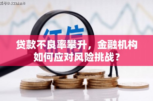 西陵贷款不良率攀升，金融机构如何应对风险挑战？