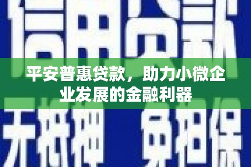 西陵平安普惠贷款，助力小微企业发展的金融利器