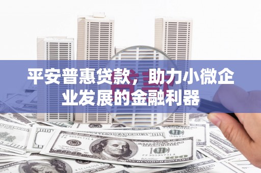 西陵平安普惠贷款，助力小微企业发展的金融利器