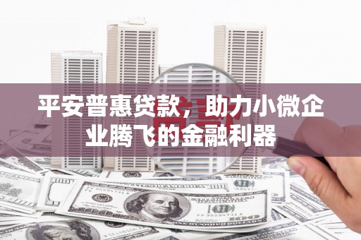 西陵平安普惠贷款，助力小微企业腾飞的金融利器