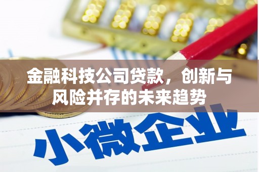 西陵金融科技公司贷款，创新与风险并存的未来趋势