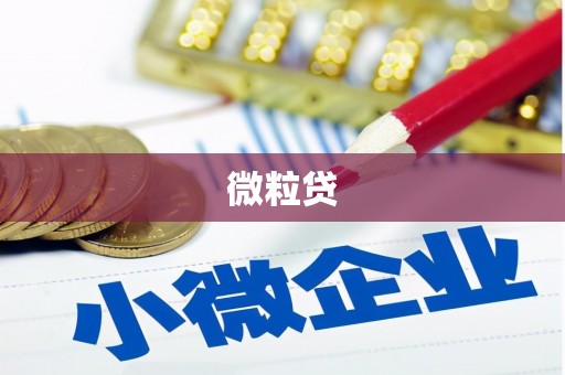 西陵微粒贷
