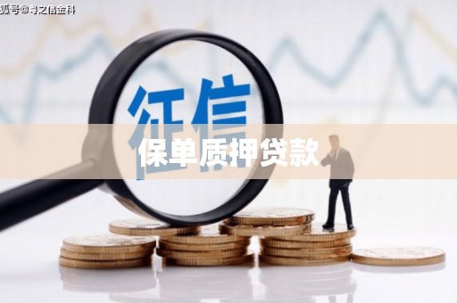 西陵保单质押贷款