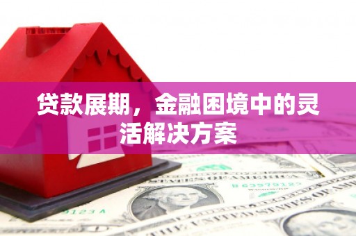 西陵贷款展期，金融困境中的灵活解决方案