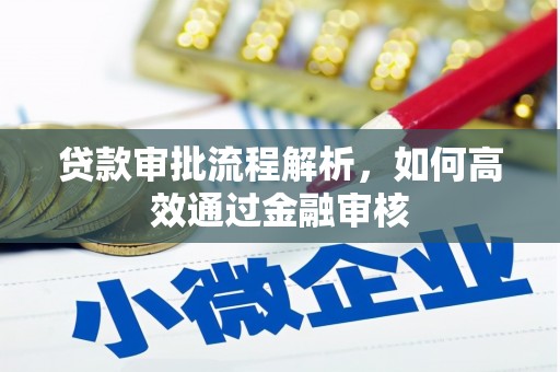 西陵贷款审批流程解析，如何高效通过金融审核