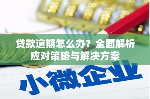 西陵贷款逾期怎么办？全面解析应对策略与解决方案