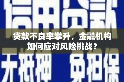 西陵贷款不良率攀升，金融机构如何应对风险挑战？
