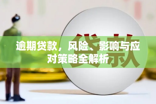 西陵逾期贷款，风险、影响与应对策略全解析