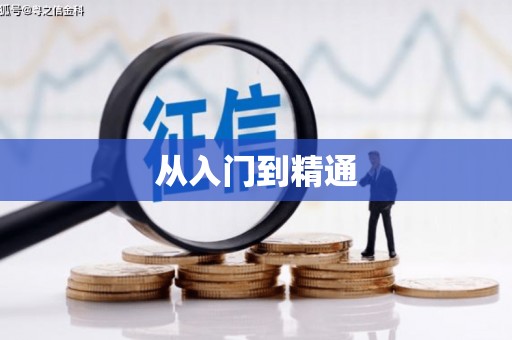西陵从入门到精通