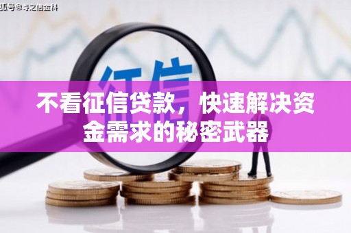西陵不看征信贷款，快速解决资金需求的秘密武器