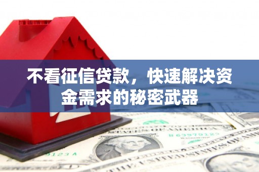 西陵不看征信贷款，快速解决资金需求的秘密武器