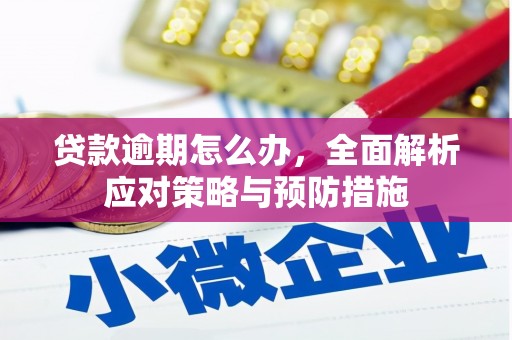 西陵贷款逾期怎么办，全面解析应对策略与预防措施