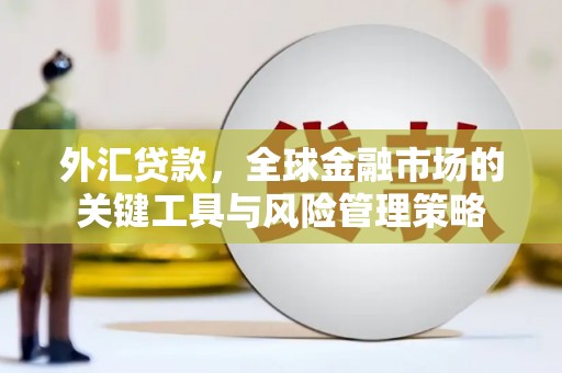 西陵外汇贷款，全球金融市场的关键工具与风险管理策略