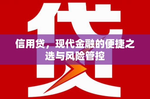 西陵信用贷，现代金融的便捷之选与风险管控
