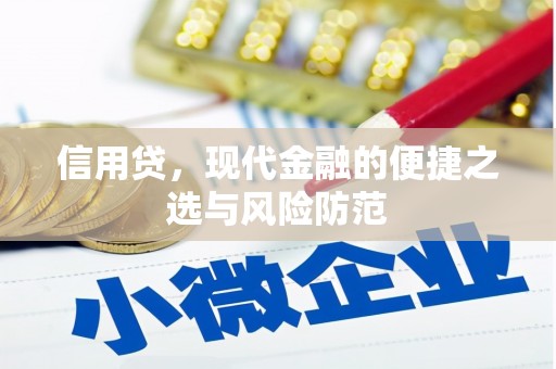 西陵信用贷，现代金融的便捷之选与风险防范