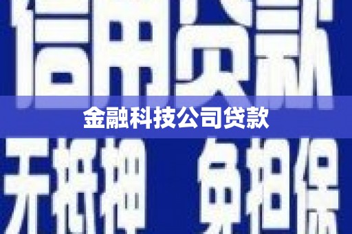 西陵金融科技公司贷款