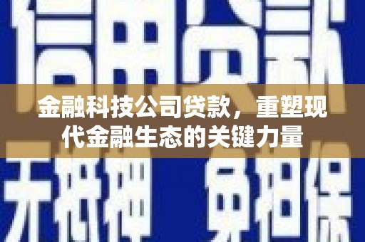 西陵金融科技公司贷款，重塑现代金融生态的关键力量