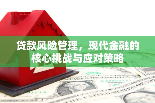 西陵贷款风险管理，现代金融的核心挑战与应对策略
