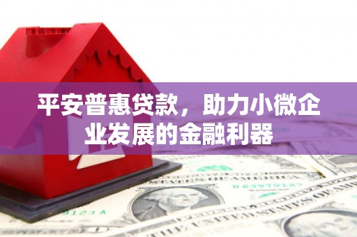 西陵平安普惠贷款，助力小微企业发展的金融利器