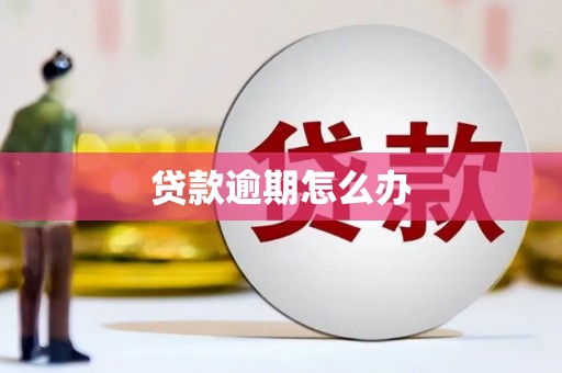 西陵贷款逾期怎么办