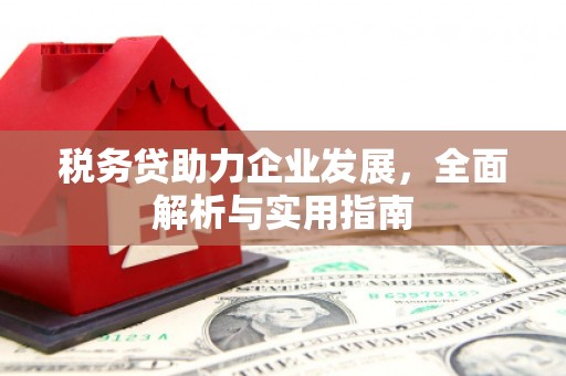 西陵税务贷助力企业发展，全面解析与实用指南