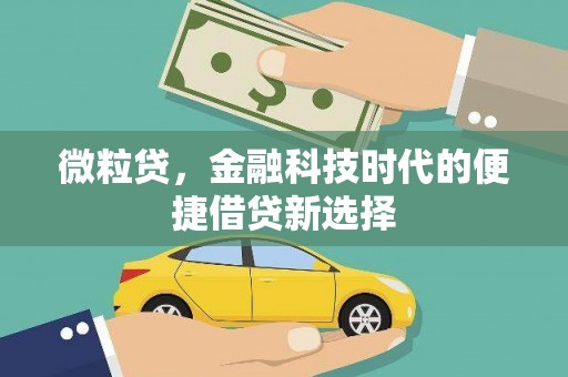 西陵微粒贷，金融科技时代的便捷借贷新选择