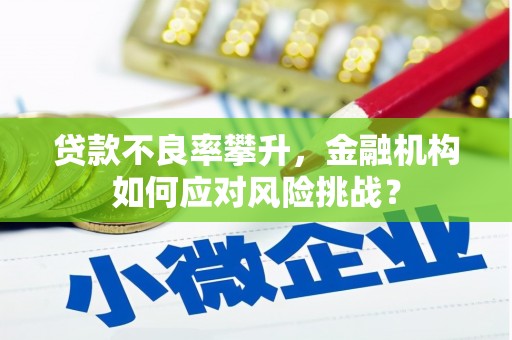 西陵贷款不良率攀升，金融机构如何应对风险挑战？