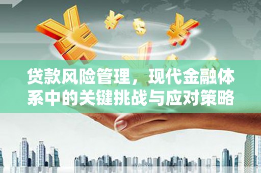 西陵贷款风险管理，现代金融体系中的关键挑战与应对策略