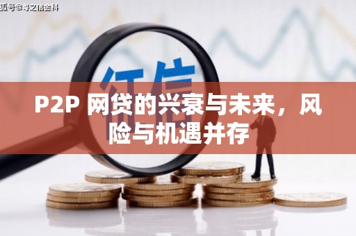 西陵P2P 网贷的兴衰与未来，风险与机遇并存